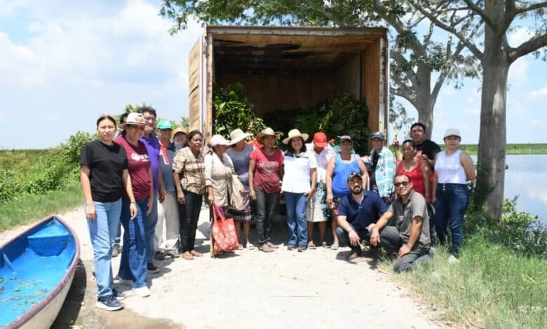 El IFAT fortalece a artesanos tabasqueños con acopio de materia prima en Nacajuca