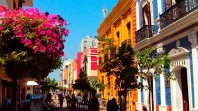 Estados Unidos emite alerta de viajes, AMAV Tabasco se pronuncia al respecto