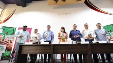 Expo Forestal Balancán 2025: reactivación económica y sostenibilidad en el corazón de Tabasco