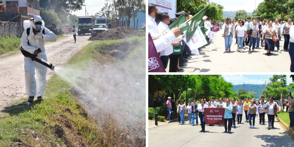 Intensifican lucha contra el Dengue