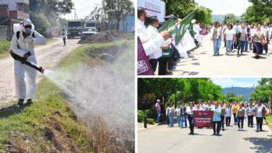 Intensifican lucha contra el Dengue