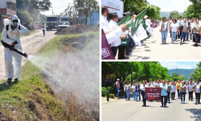 Intensifican lucha contra el Dengue