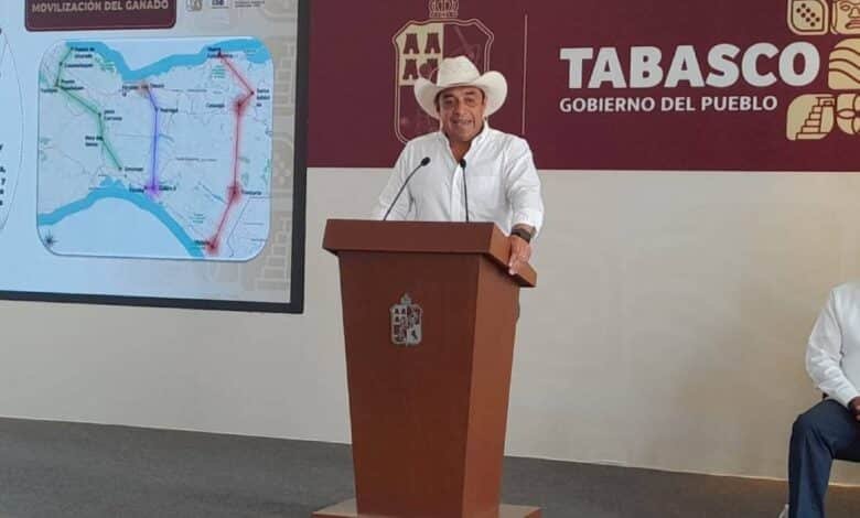 Mosca estéril, la clave para erradicar el gusano barrenador en Tabasco