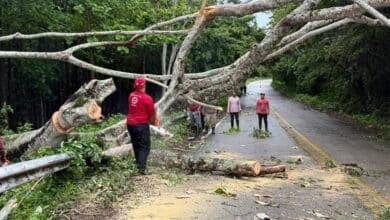 Protección Civil restablece vialidades tras caída de árboles en Tabasco