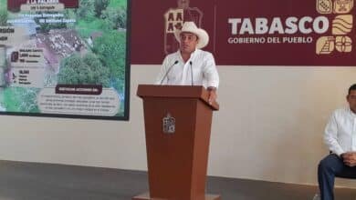 Tabasco lidera la inversión ganadera en México
