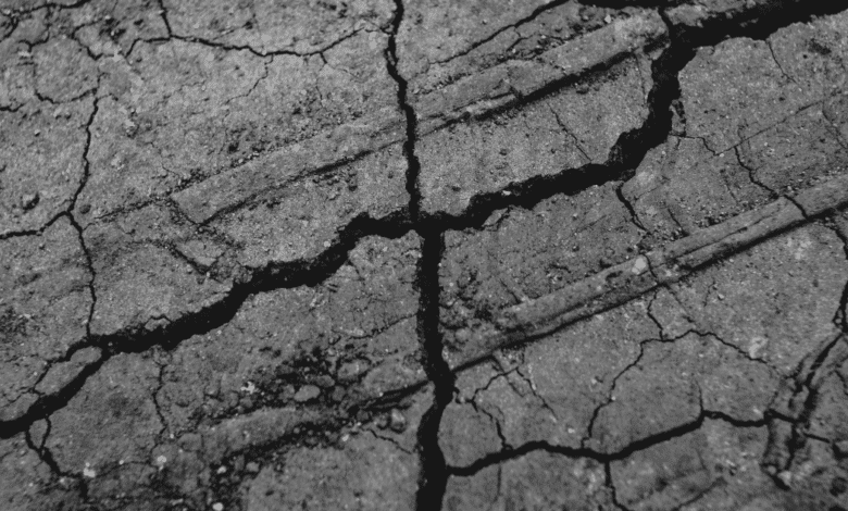 5 sismos recientes en Tabasco Preparación y prevención ante el 2° Simulacro Nacional 2025