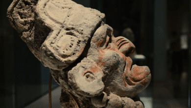 Aguada Fénix La monumental joya maya más grande y antigua de Tabasco