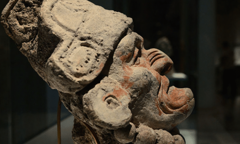 Aguada Fénix La monumental joya maya más grande y antigua de Tabasco