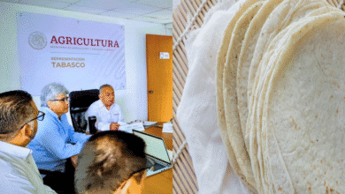 Buscan bajar el precio de la tortilla en Tabasco