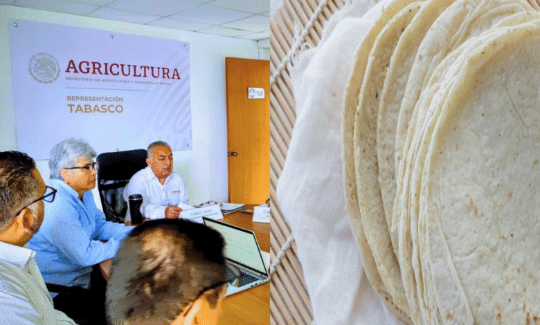 Buscan bajar el precio de la tortilla en Tabasco