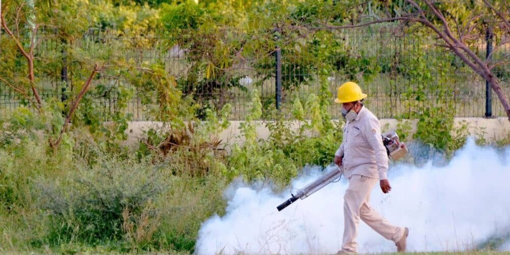 Casos de dengue en Tabasco van a la baja