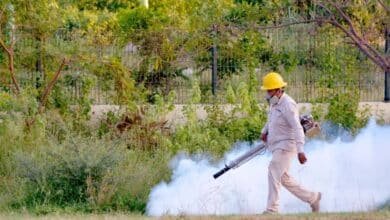 Casos de dengue en Tabasco van a la baja