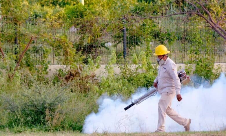 Casos de dengue en Tabasco van a la baja