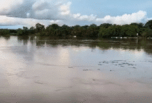 Centro refuerza monitoreo y coordinación ante posible riesgo de inundaciones por ríos