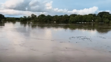Centro refuerza monitoreo y coordinación ante posible riesgo de inundaciones por ríos