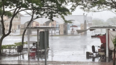 Conagua alerta sobre posible activación de “tren de ondas tropicales” en octubre