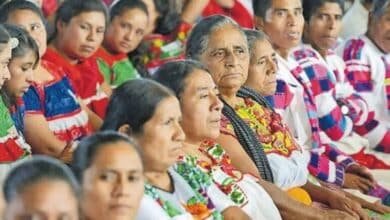 Día Internacional de la Traducción Tabasco tiene 96 mil personas que hablan alguna lengua indígena