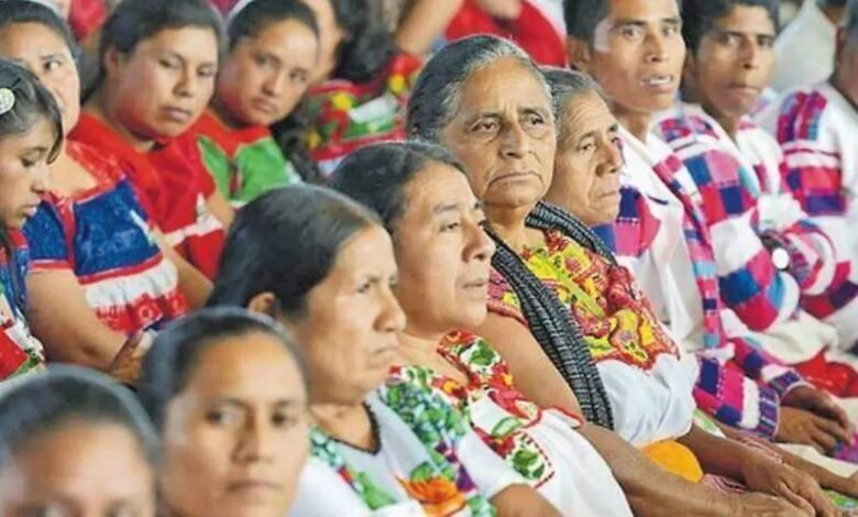 Día Internacional de la Traducción Tabasco tiene 96 mil personas que hablan alguna lengua indígena