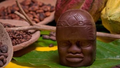 Día Nacional del Cacao y el Chocolate Ideal para recorrer la ruta de Tabasco