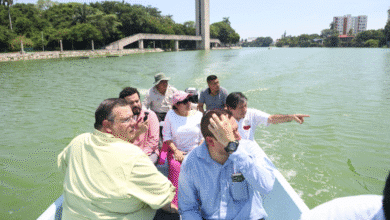 Investigan la causa del fenómeno tras el hallazgo de cientos de peces muertos. El Gobierno de Tabasco espera un informe técnico en 48 horas para tomar medidas urgentes.