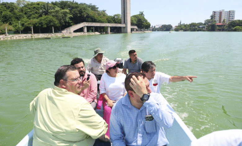 Investigan la causa del fenómeno tras el hallazgo de cientos de peces muertos. El Gobierno de Tabasco espera un informe técnico en 48 horas para tomar medidas urgentes.