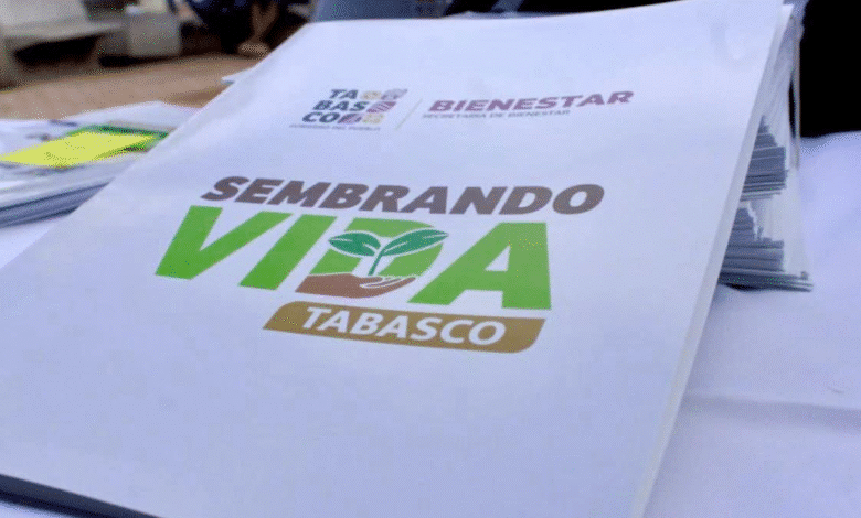 El Campo Tabasqueño Florece con el Programa Sembrando Vida