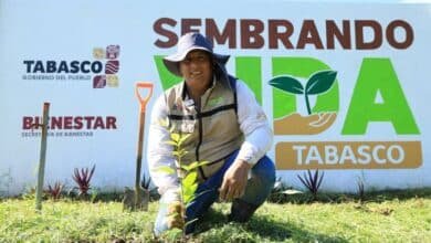 El latido verde de Tabasco Únete a la reforestación y devuelve la vida a tu tierra