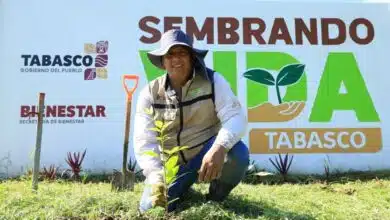 El latido verde de Tabasco Únete a la reforestación y devuelve la vida a tu tierra