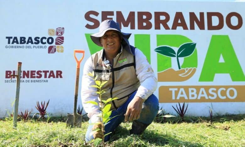 El latido verde de Tabasco Únete a la reforestación y devuelve la vida a tu tierra