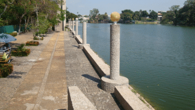 Fenómeno “barbasco”, responsable de la muerte de peces en la Laguna de Las Ilusiones