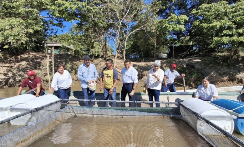 Gobernador May Rodríguez Impulsa la Acuacultura en Jonuta