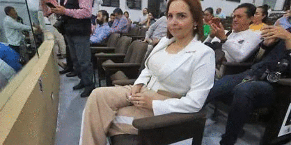 La Auditoría fiscal detecta varias observaciones en el IEPC