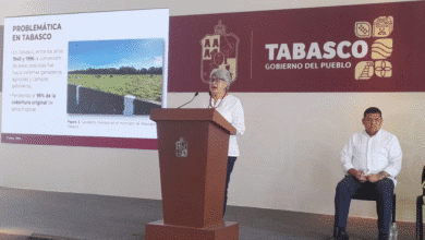 La Crónica de la Deforestación Tabasqueña