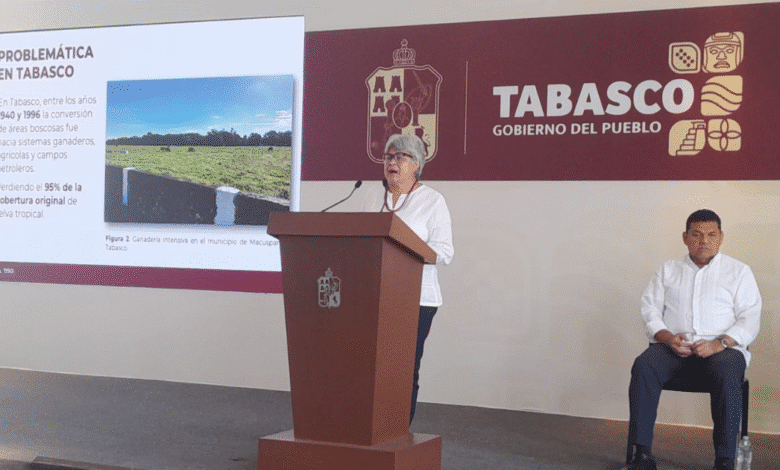 La Crónica de la Deforestación Tabasqueña