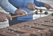 La marimba en Tabasco Alma mestiza y corazón del sureste mexicano