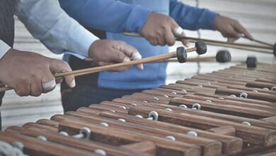 La marimba en Tabasco Alma mestiza y corazón del sureste mexicano