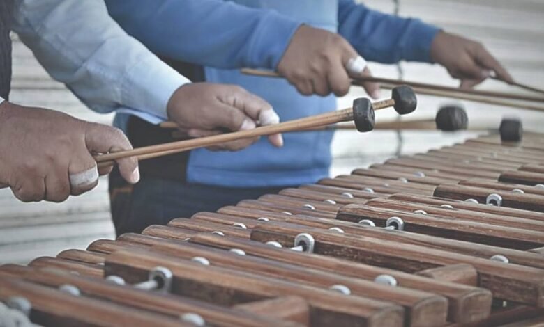 La marimba en Tabasco Alma mestiza y corazón del sureste mexicano