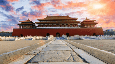 Los palacios de China, como la Ciudad Prohibida en Pekín o el Palacio de Verano, son testigos de dinastías milenarias, símbolos de poder y refinamiento arquitectónico.