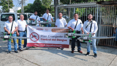 Las brigadas recolectan basura y objetos donde pueden reproducirse los insectos.