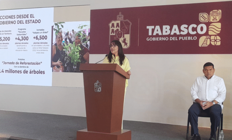 Sembrarán 2.4 millones de árboles para salvar los ecosistemas