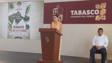 Tabasco siembra un futuro verde con 720,211 árboles