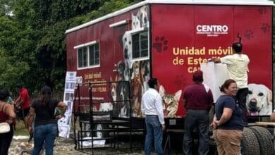 Unidad Móvil de Esterilización atiende a decenas de mascotas en Centro