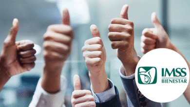 Al 31 de agosto de 2025, se tienen registrados ante el IMSS 23,533,731 (veintitrés millones quinientos treinta y tres mil setecientos treinta y un) afiliaciones asociadas a un patrón, que incluye a las personas beneficiarias de la reforma de plataformas digitales.