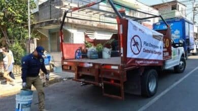 Guerra contra el dengue da resultados en Tabasco