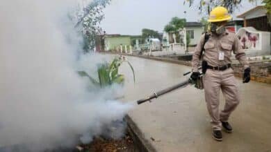 Baja 90 por ciento los casos de dengue