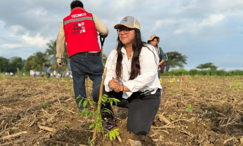 Celebran entusiasmo de las y los tabasqueños en Jornada de Reforestación que alcanzó 2.7 millones de árboles