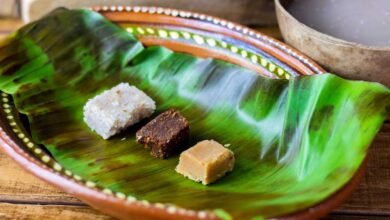 Dulces típicos de Tabasco coco y leche que endulzan la tradición