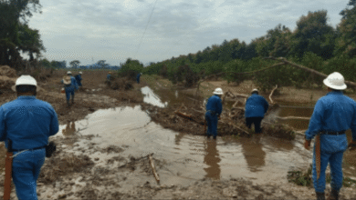 CFE opera con seguridad y compromiso para restablecer el suministro eléctrico en el menor tiempo posible