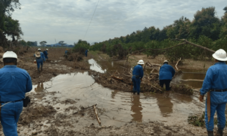 CFE opera con seguridad y compromiso para restablecer el suministro eléctrico en el menor tiempo posible