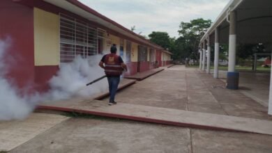 Escuelas blindadas contra el dengue